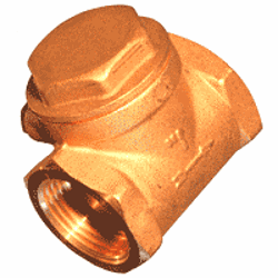 1" Swing Check Valve