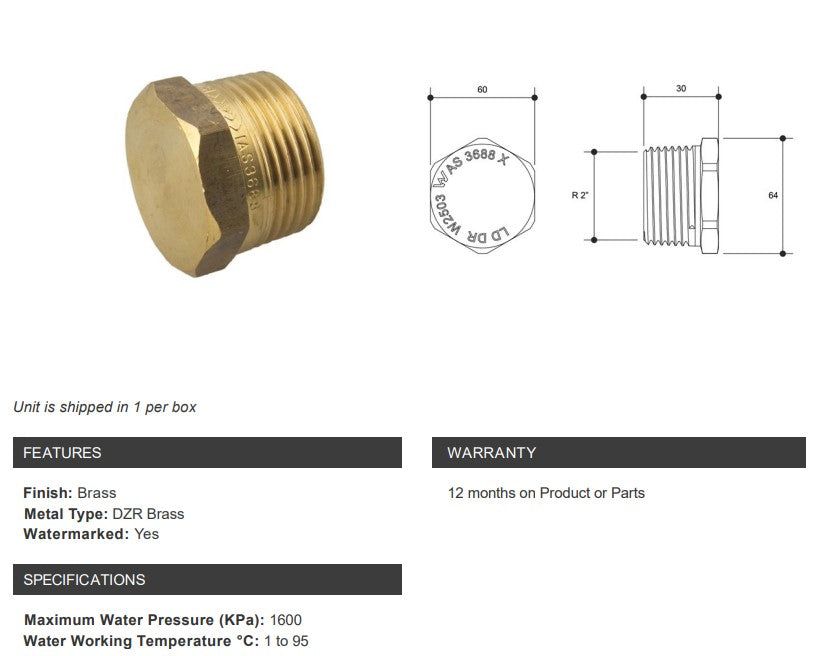 Brass Hex Plug 2" BSP Thread