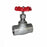 3/4" BSP (20mm) 316 Stainless Steel Globe Valve