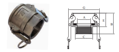 Stainless Steel 316 Camlock Type D 3/4" 20mm Female Camlock x Female BSP