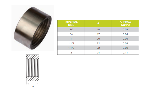 1 1/2" BSP (40mm) 316 Stainless Steel Half Socket