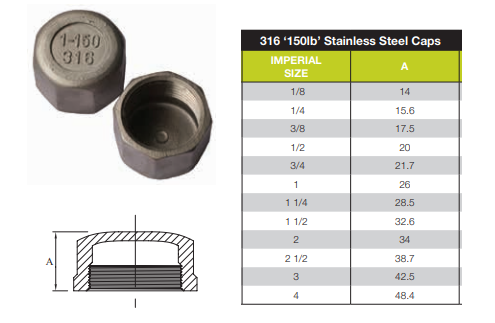 1 1/4" BSP 316 STAINLESS STEEL HEX CAP 32mm FEMALE THREAD