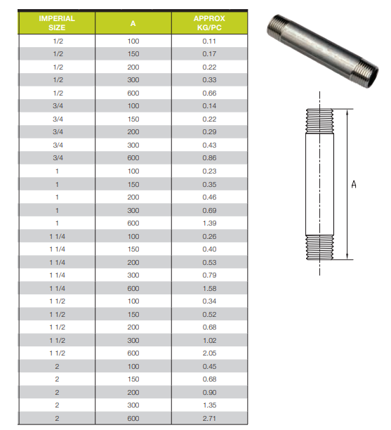 2" BSP x 200mm Stainless Steel 316 Threaded Pipe Schedule 40