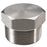 1/4" NPT 316 STAINLESS STEEL HEX PLUG