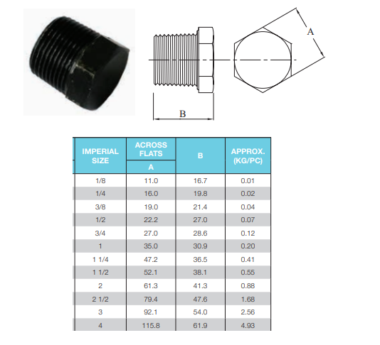 1" BSP (25mm) Black Steel Hex Plug Male Thread